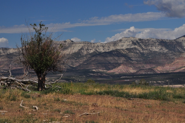 Highway 121, 59 Road up to Grand Mesa